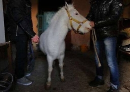 Librino, cento denunce per furti d’acqua e di elettricità