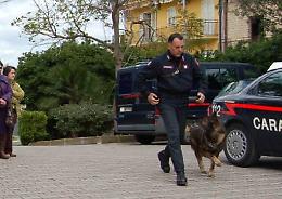 Lo spaccio affidato a quattro minori: Carabinieri arrestano i "Fantastici 5"