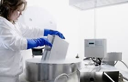 Il ministero autorizza la ricerca alla banca del cordone ombelicale