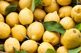 Augusta, ladro di limoni derubato da altri ladri chiama i carabinieri