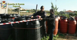 Ragusa, topi morti tra peperoni e melanzane Sequestrate 70 tonnellate di prodotti alimentari