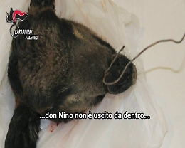 Palermo, blitz Monte Reale, le minacce