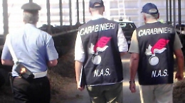 Messina, sei macellerie sulle 10 controllate dal Nas taroccavano la carne con i solfiti