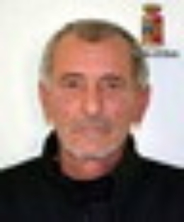 Acate, scoperta piantagione di marijuana