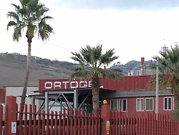 L'Ortogel e i Tamburino, “pionieri” del succo d'arancia rossa nel mondo