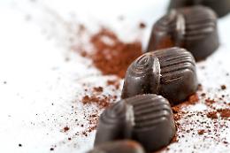 Cigni di cioccolato in onore di Bellini e di Catania