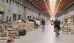 Con il Maas di Catania cresce Italmercati: presto un “borsino” degli alimenti freschi