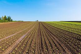 Cga annulla sentenza Tar bando biologico 2012