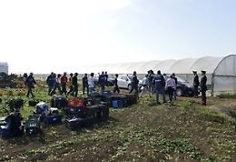 Caporalato, la Sicilia si conferma in testa per sfruttamento