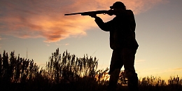 Caccia, Aidaa: «Denunceremo Musumeci per disastro ambientale»