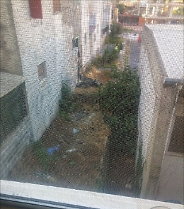 Degrado alla scuola De Andrè ad Aci S. Antonio: segnalo e nessuno fa nulla