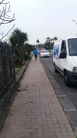 Cartelli vietano di lasciare deiezioni dei cani in via A. da Messina: nessuno li rispetta