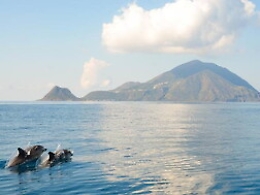 Un progetto per difendere Pino e gli altri 41 delfini delle Eolie