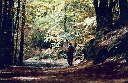 Il Parco della Madonie su social cinese Wechat per attrarre turisti