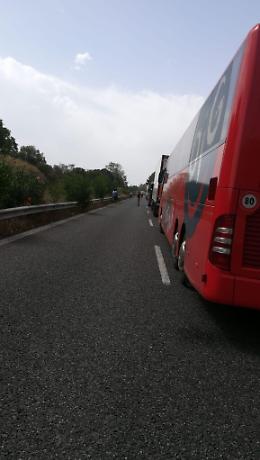 Messina-Catania, albero abbattuto sulla carreggiata dell'A18: lunghe code in autostrada