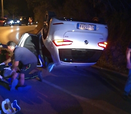 Calascibetta e il cane randagio "imputato" per incidente stradale