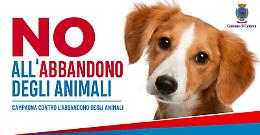 &laquo;No all'abbandono degli animali&raquo;, un "peloso" testimonial a Catania
