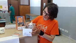 La Lav torna a Lampedusa per sette giorni