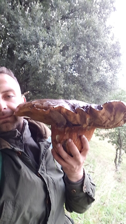 Zafferana: trovato un  fungo porcino da record di oltre 4 Kg