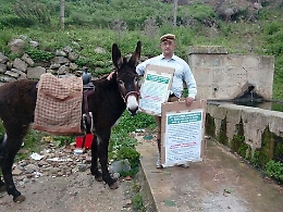 Sul dorso di un mulo per non perdere 54 milioni di fondi Ue