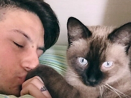 Paolo dal Cat's garage a un'intera villetta che ospita cani e gatti