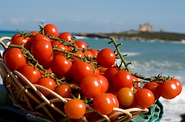 Allarme salmonella, il Distretto ortofrutta Sud-Est: «Nessuna anomalia nei pomodorini»