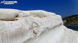 Punta bianca sfregiata, vandalo scolpisce testa