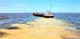 Ingegnere siciliano in carcere negli Stati Uniti per scarico rifiuti