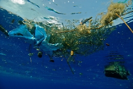 Uno studio su Nature: il Mediterraneo è diventato una “zuppa” di microplastiche