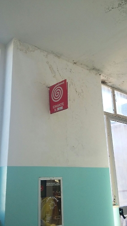 Il liceo classico Platone di Palazzolo Acreide cade a pezzi: le paure di studenti e docenti