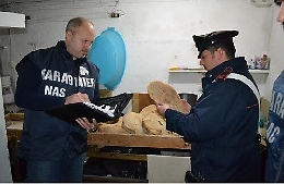 Palermo, vendevano pane abusivamente a Borgo Nuovo: 5 denunce