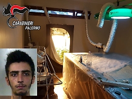 Serra di marijuana nella stanza del biliardo: arrestato 21enne a Palermo