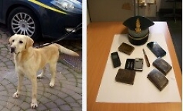 Agrigento, scende dal pullman e il cane antidroga “fiuta” l'hashish: arrestato