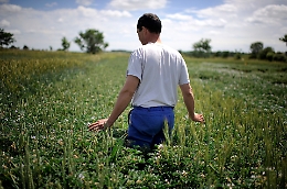 Compro un terreno e... RESTO AL SUD