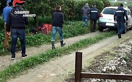 Lavoratori "in nero" per raccolta arance: arrestato presunto "caporale" di Ribera