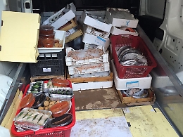 Palermo, chiuse due pescherie e sequestrata mezza tonnellata di pesce