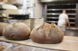 Furto all'interno di una panetteria in via Cicerone