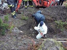 "Vostro figlio è vivo e ha bisogno di soldi" Così truffava genitori vittima di lupara bianca: arrestato