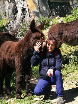 Stefania Greco, la signora degli asinelli