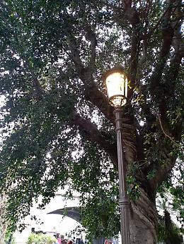 Catania, a Villa Pacini i lampioni restano accesi: perché questo spreco di energia?