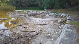 Catania: lo scempio al boschetto della Plaja