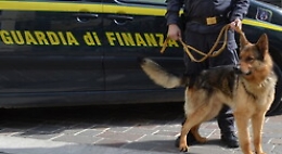 Narcotraffico con Spagna e Sud America, arrestato anche un palermitano