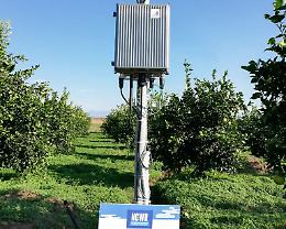 Risparmio dell'acqua in agrumicoltura e “tetti verdi”: con NCWR due progetti hi-tech per Catania