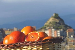 Arance siciliane in Cina con Alibaba e dal Dragone investimenti nell'Isola