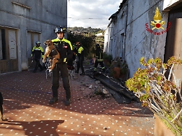Terremoto, solaio crolla su tre cuccioli di cane a Zafferana: salvati