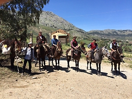 Un viaggio a dorso di mulo per dire "no "alla plastica