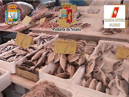 Palermo, sequestrati 400 chili di pesce non commestibile