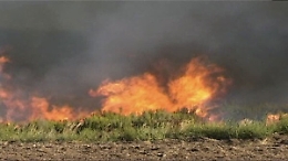 A fuoco il terreno coltivato a grano confiscato alla mafia