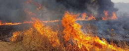 Ecomafie, tra cemento fuori legge e incendi boschivi la Sicilia esce devastata