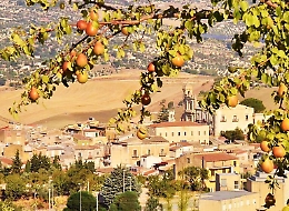 Comitini, al via le borse di lavoro